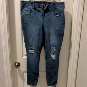 Torrid Distressed Skinny Jeans